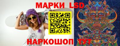 дмт Ставрополь
