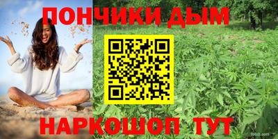 дмт Ставрополь